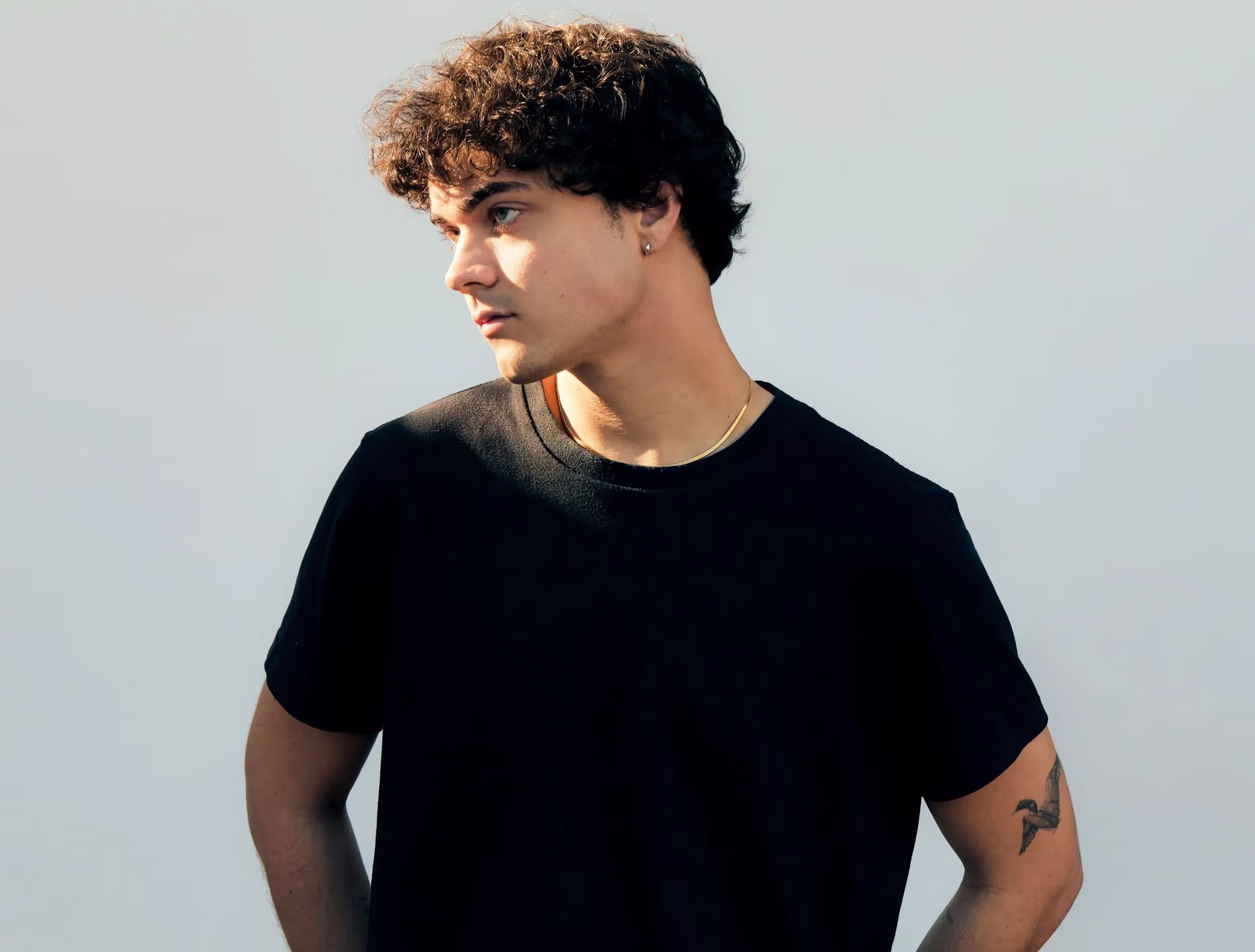 Alexander-Stewart's profile
