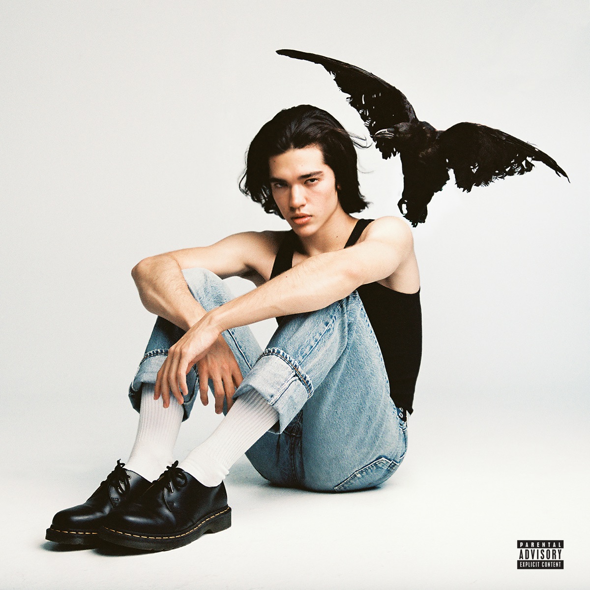 Conan Gray "The Cut That Always Bleeds" cover art