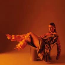 Allysha Joy, 'The Making of Silk', LP cover art