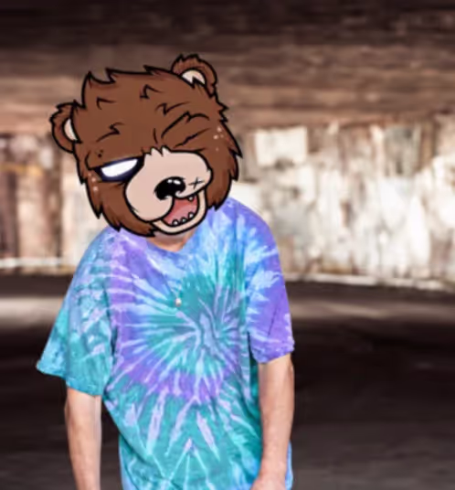 Mr. Ours, portrait