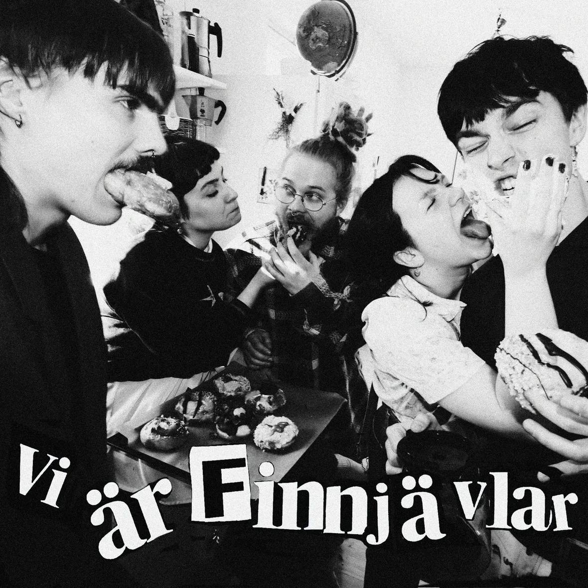 Drug Store Raid, Vi_ar_Finnjaavlar_cover art