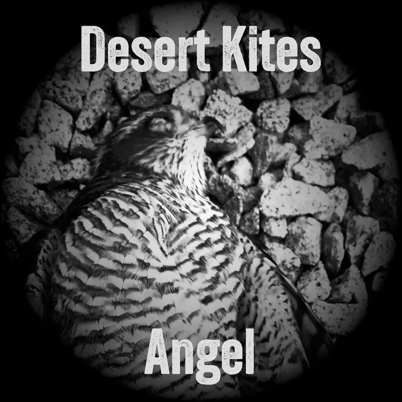 Desert Kite 'Angel', cover art