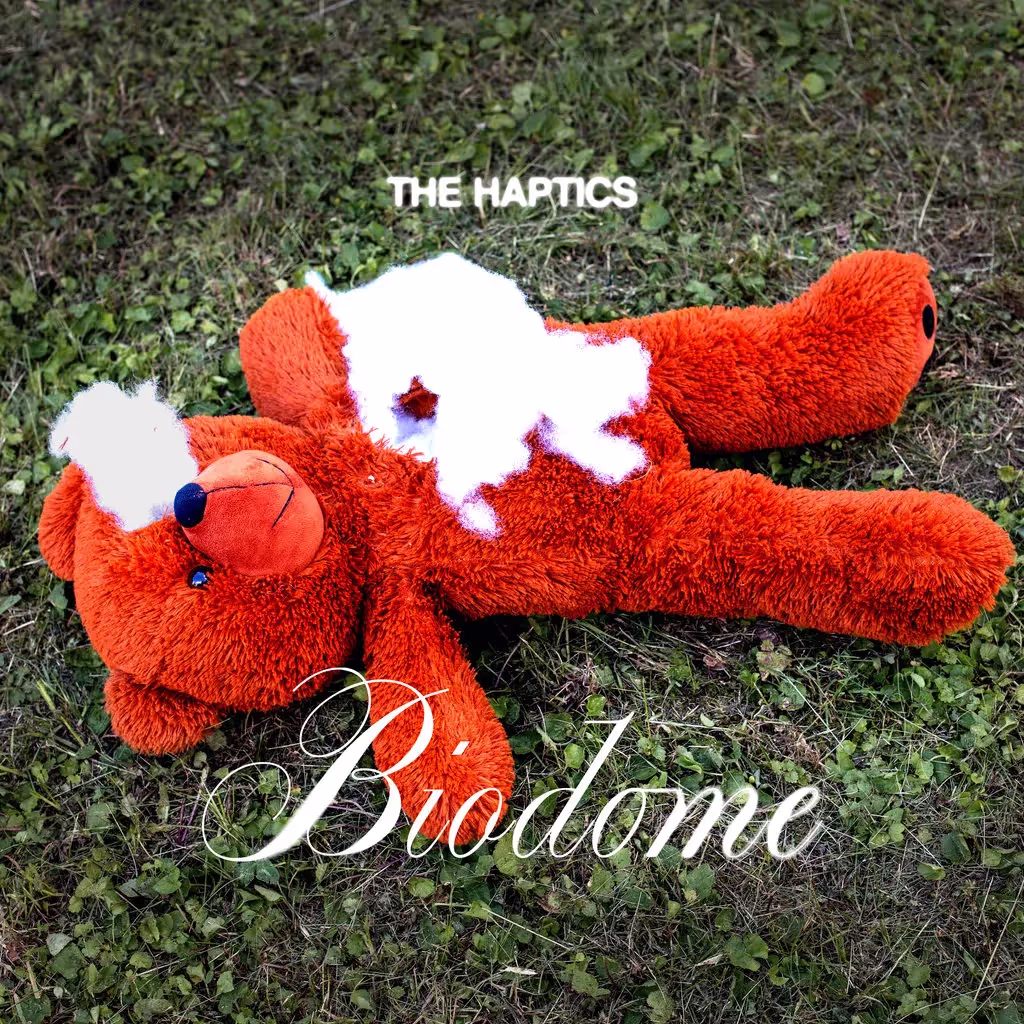 The Haptics, "Biodome" single cover art: a ripped red plush bear toy on the green grass with white title text.