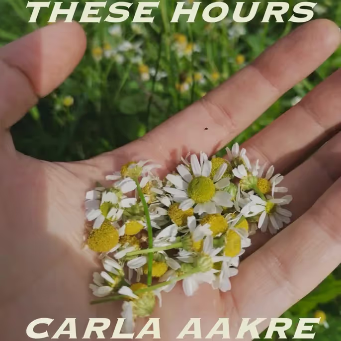 Carla Aakre, "These Hours": Single cover art featuring a depiction of daisies resting on the palm of a hand.