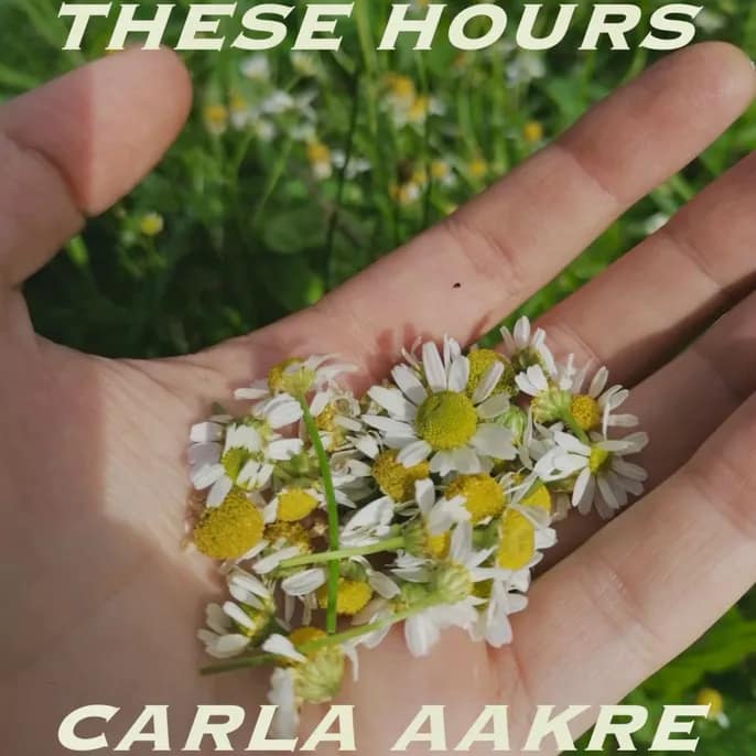 Carla Aakre, "These Hours": Single cover art featuring a depiction of daisies resting on the palm of a hand.