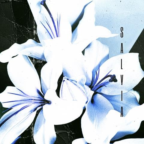 SALVIA, 'Adrenaline' single cover art