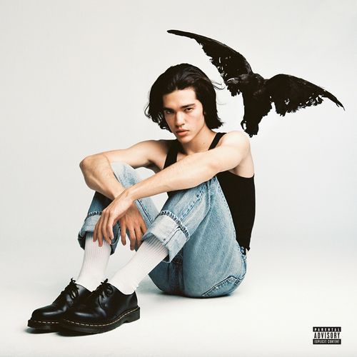 Conan Gray "The Cut That Always Bleeds" cover art